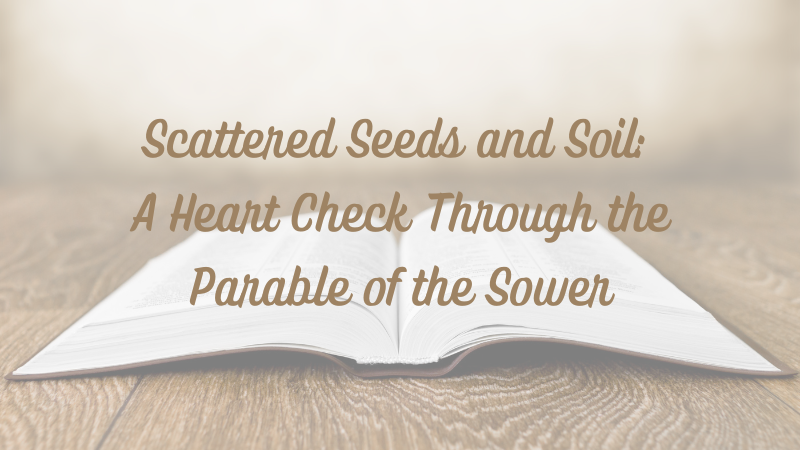 Scattered Seeds and Soil: A Heart Check Through the Parable of the&nbsp;Sower