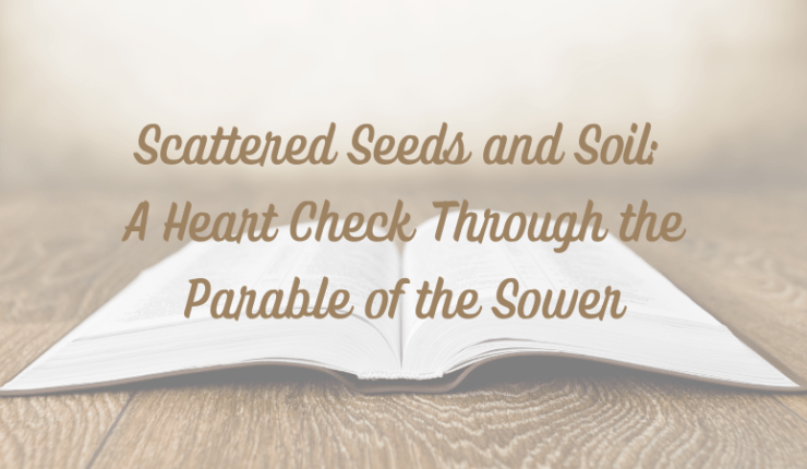 Scattered Seeds and Soil: A Heart Check Through the Parable of the&nbsp;Sower