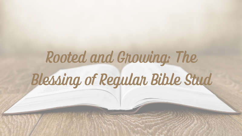 Rooted and Growing: The Blessing of Regular Bible&nbsp;Study